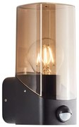 Aplică de exterior with a sensor Brilliant MINOU 1xE27/10W/230V IP44