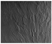 WENKO 2713550100 - Protecție pentru blat SLATE 60 x 50 cm, multicolor