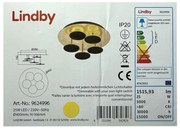 Plafonieră LED dimabilă CASNI 5xLED/5W/230V Lindby