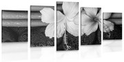 Tablou 5-piese wellness natura moartă în design alb-negru