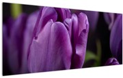 Tablou cu flori de lalele (120x50 cm)