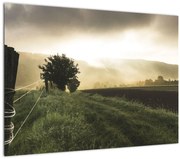 Tabloucu luncă (70x50 cm)