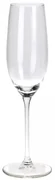 Set de pahare pentru vin spumant Sparkle 210 ml, 4buc.