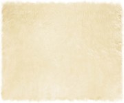 vidaXL Covor din Lână Faux Tafalla Crem 200 x 280 cm Poliester