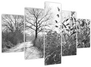 Tablou - Câmpuri în timpul iernii (150x105 cm)