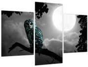 Tablou - Bufniță de noapte, albastru (90x60 cm)