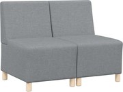 vidaXL Unitate Sofa Modulară Fără Brațe 2 pcs Gri deschis