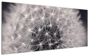 Tablou cu păpădie (120x50 cm)