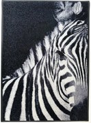 Covoras intrare lavabil Zebra 60/85 cm