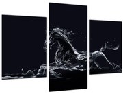 Tablou - Cal și apă (90x60 cm)