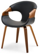 Scaun Kurt (nuc). 1111100