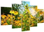 Tablou - Flori galbene (150x105 cm)