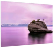 Tablou cu piata în mare (70x50 cm)