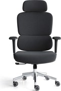 RESIGILAT- Scaun ergonomic Robbin-H, mecanism multifunctional, suport lombar, material textil, Negru