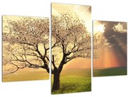 Tablou cu copac pe luncă (90x60 cm)