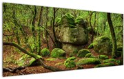 Tablou cu pădurea fermecată (120x50 cm)
