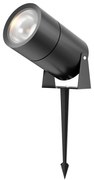 Proiector LED cu tarus iluminat exterior IP65 Bern 15W grafit