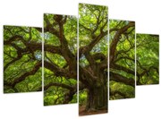 Tablou - Copac verde (150x105 cm)