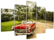 Tablou - mașina veteran în natură (150x105 cm)