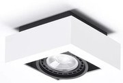Spot aplicat directionabil de tavan/plafon NIKEA 1 ES111 alb/negru