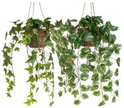 Plante artificiale 2 buc. (înălțime 50 cm) – Casa Selección