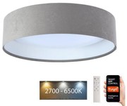 Plafonieră LED SMART GALAXY LED/24W/230V Wi-Fi Tuya gri/alb + telecomandă