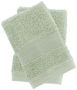 Prosoape verzi 2 buc. din bumbac din frotir 30x30 cm Anti-Bacterial – Catherine Lansfield