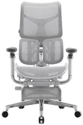 Scaun ergonomic SIHOO DORO S300 ADAPTIVE, cotiere 6D ultra moi, suport lombar adaptiv, spătar reglabil pe inaltime, mecanism multifunctional inclinare/blocare, pivotant, Mesh, Gri