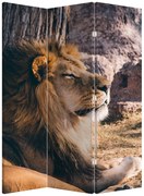 Paravan - Leul dormind (126x170 cm)