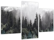 Tablou - Pădure cu elemente ilustrate (90x60 cm)