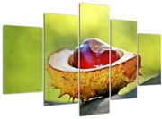 Tablou cu castani (150x105 cm)