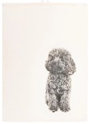 Prosop de bucătărie din bumbac 70x50 cm Farm - Tiseco Home Studio