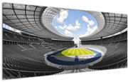 Tablou - stadionul de fodbal (120x50 cm)