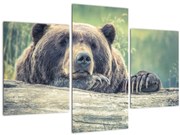 Tablou cu urs (90x60 cm)