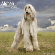 Calendar 2025 Afghan