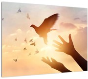 Tablou pe sticlă - Porumbițo, zboară! (70x50 cm)