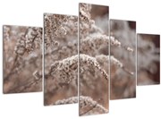 Tablou cu plante (150x105 cm)