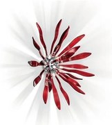 Plafonier diametru 75cm CORALLO PL6 rosso 74658