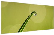 Tablou cu picătură de apă pe iarbă (120x50 cm)