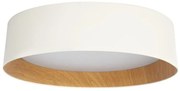 Lustra / Plafoniera LED moderna design slim LOBBY 50W