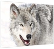 Tablou - Lupul în natură (70x50 cm)