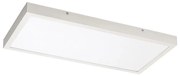 Panou LED aplicat Rabalux 71077 DAMEK LED/24W/230V 4000K 60x30 cm