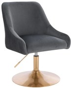 HR920N Scaun Grafit din Catifea cu Bază Aurie