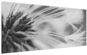 Tablou - Păpădie (120x50 cm)