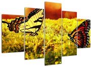 Tablou cu fluturi (150x105 cm)