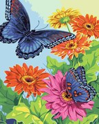 Pictura pe numere cu un cadru "Fluturi" 50x40 cm