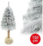 Pom de Crăciun pe trunchi NATURAL WITH SNOW 150 cm brad