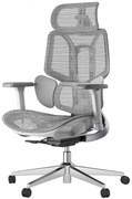 HBADA E3 AIR Scaun ergonomic, cu suport lombar dinamic pe 3 zone, tetieră reglabilă 3D, cotiere reglabile 6D, pivotant, Gri