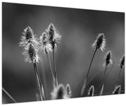 Tablou - Iarbă moale bej N⁰2 (90x60 cm)