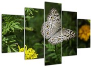 Tablou - fluture alb (150x105 cm)